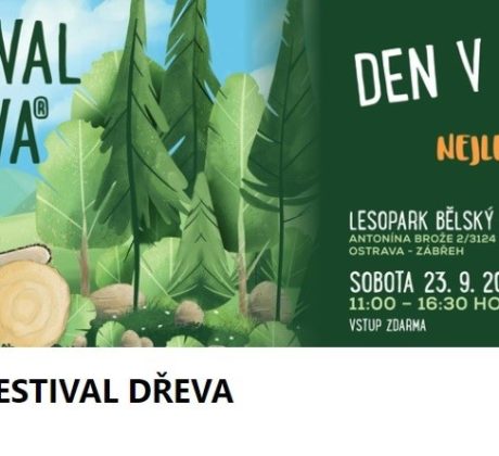 Festival dřeva