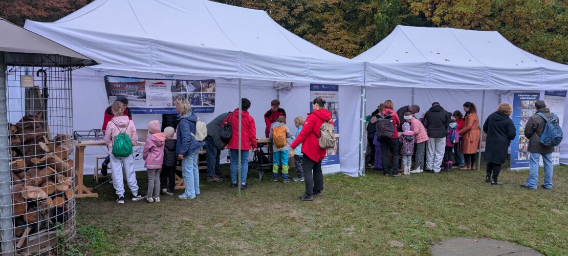 Festival dřeva