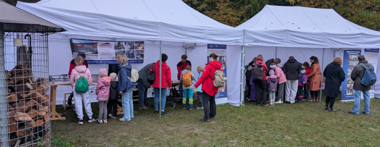 Festival dřeva