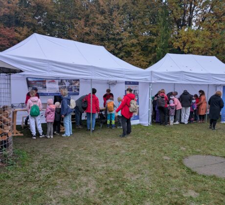 Festival dřeva